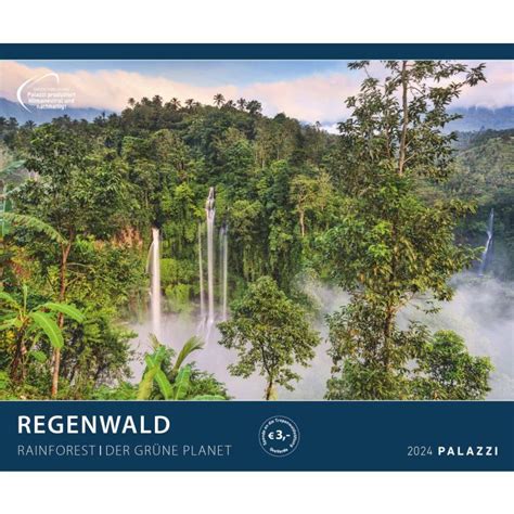 Patrouille durch den Regenwald 2025